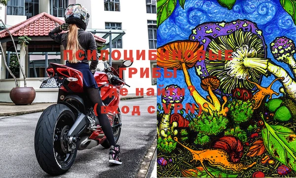 МДПВ Алексеевка
