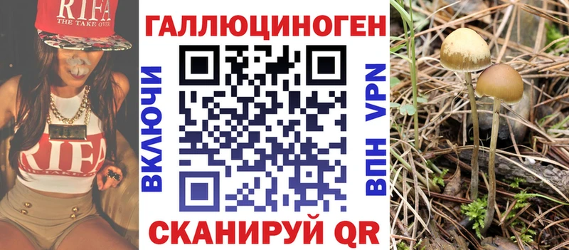 Псилоцибиновые грибы Psilocybe  Венёв 